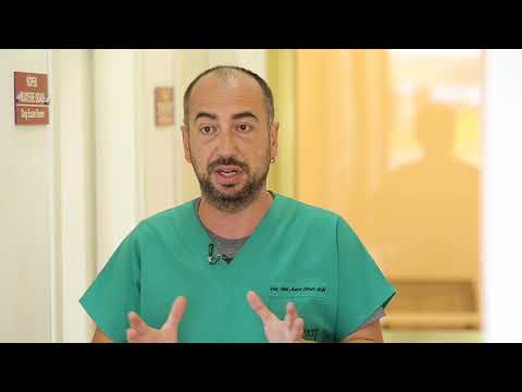 Kedi ve Köpeklerde Kene Ve Pireden Korunmanın Yolları