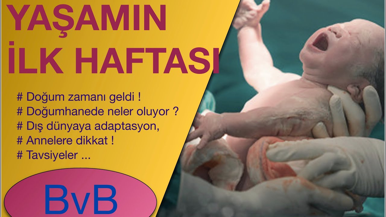 YAŞAMIN BİRİNCİ HAFTASI (Gebelik, Lohusalık ve Yenidoğan Bebek Bakımı...)